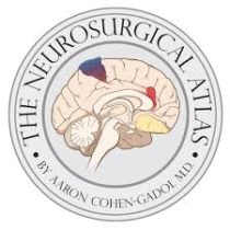 The Neurosurgical Atlas