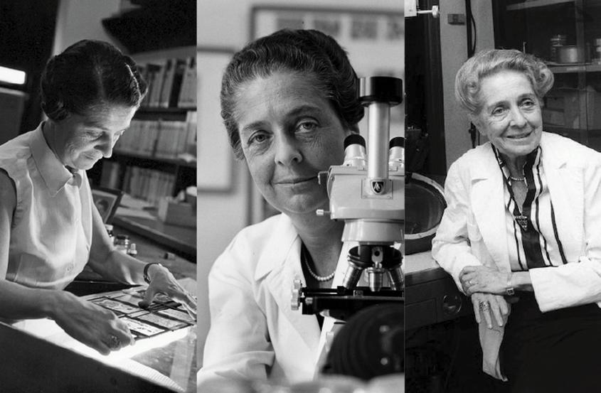 Foto: 1952 Rita Levi Montalcini scopre il Nerve Growth Factor (NGF) nel suo laboratorio a St Louis, USA